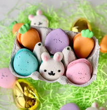 Load image into Gallery viewer, Easter Macarons Pre-Order