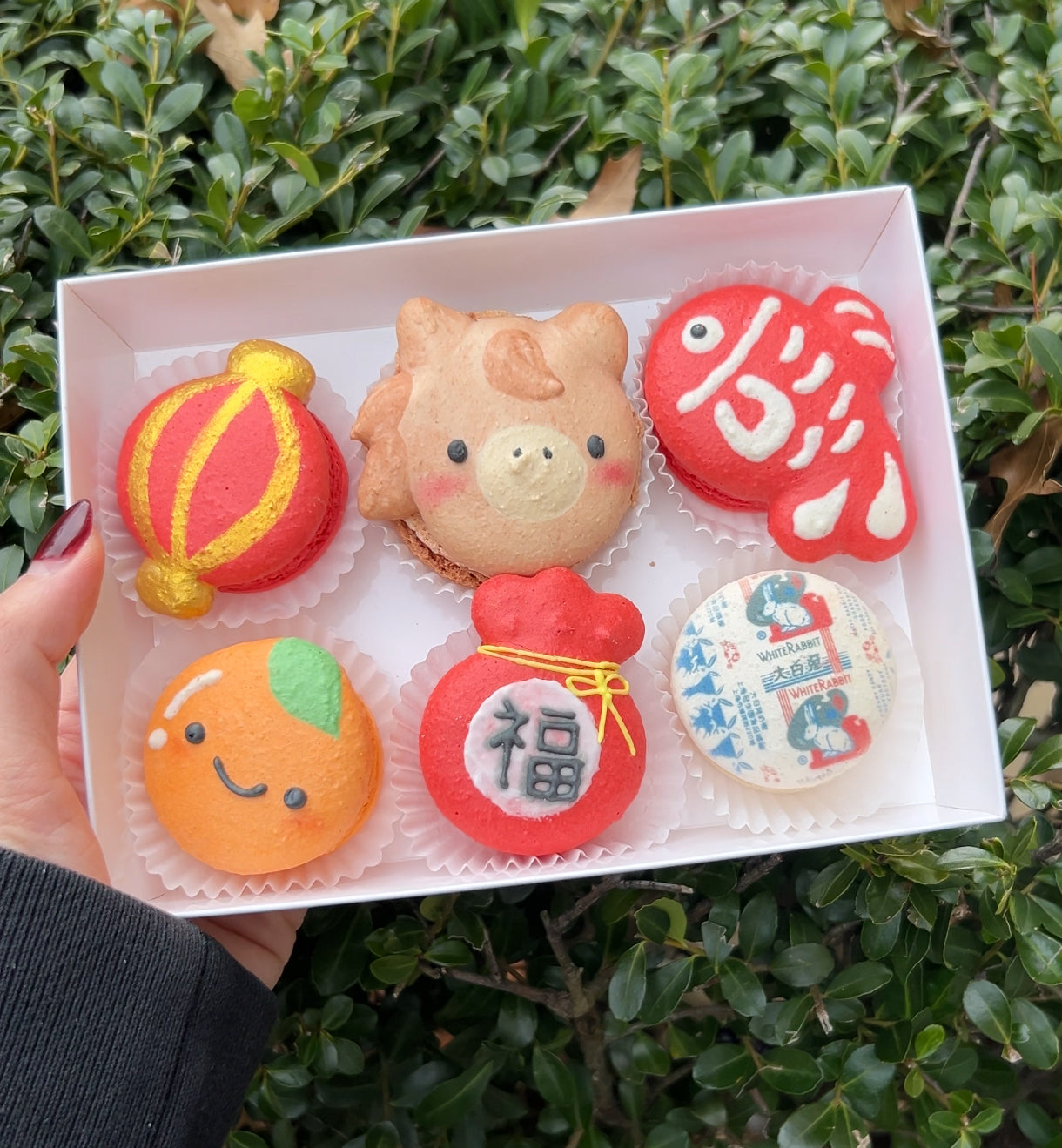 Lunar New Year Macaron Set – SweetsbyCaroline, LLC
