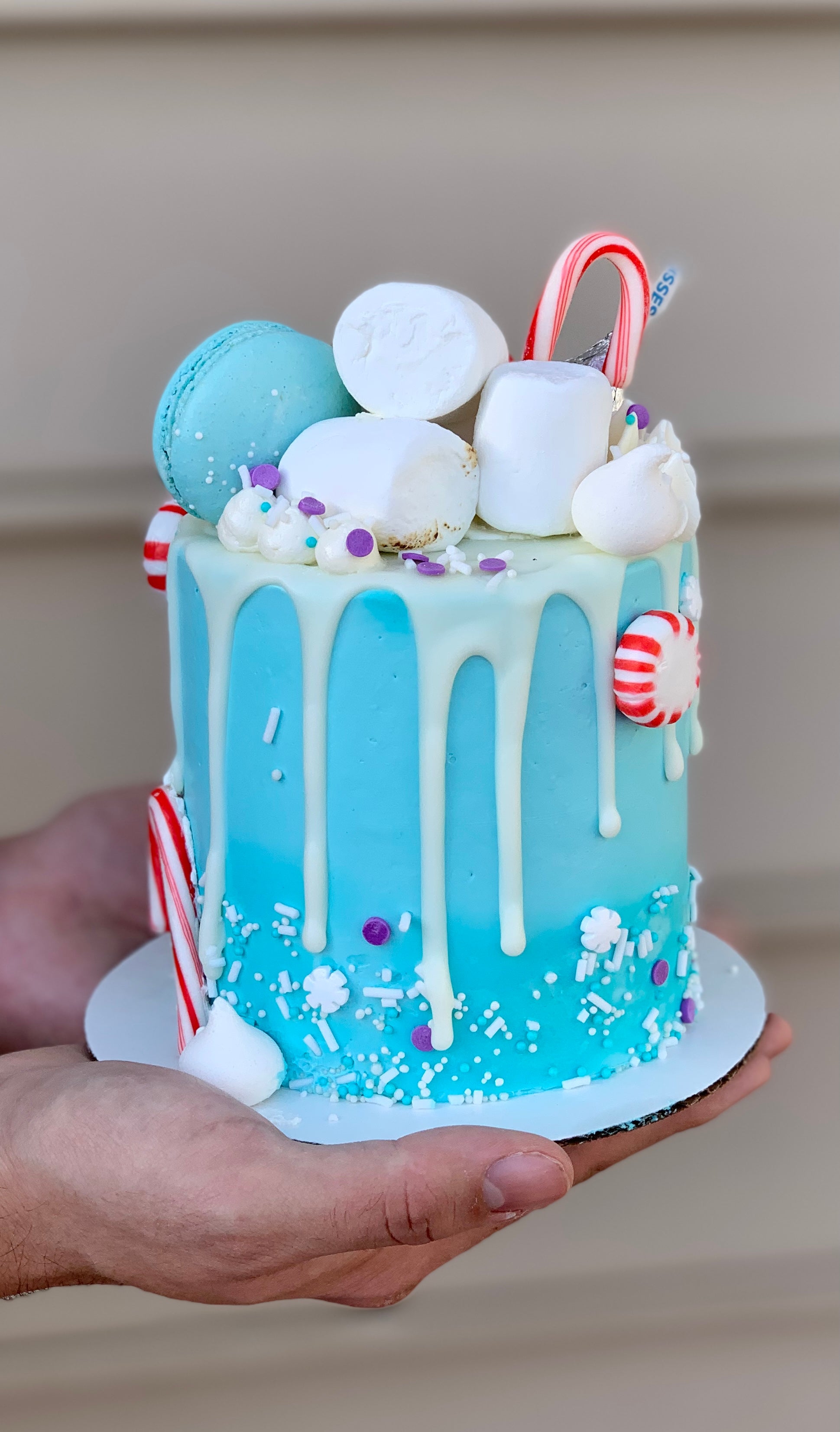 Holiday themed cake