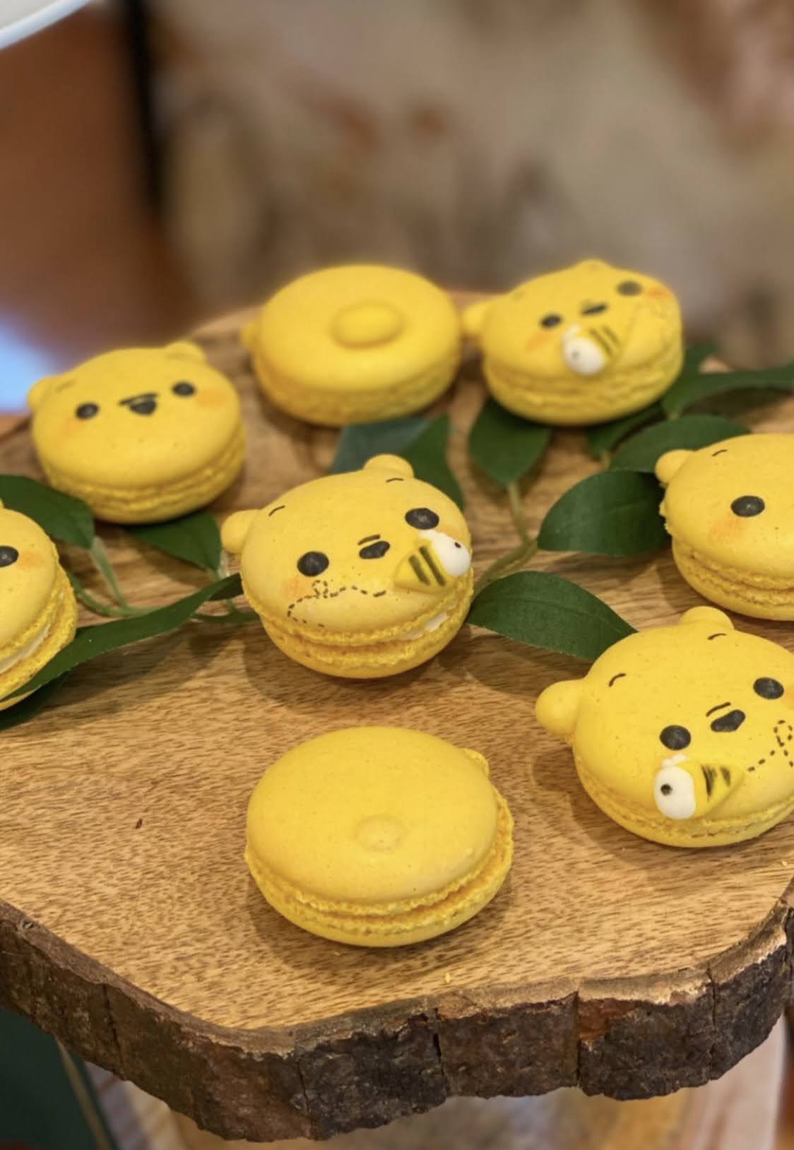 Custom Character Macarons