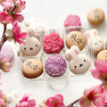 Mooncake Macaron Set